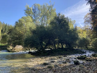 Pause près de la Source de l'Ain sur la Via Cluny