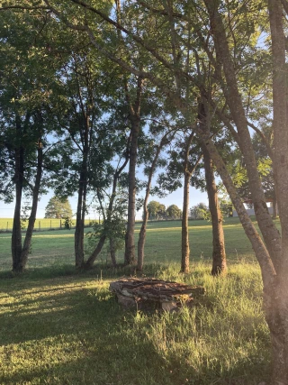 Banc en pierre sous les arbres dans le parc du gîte Le Benouchon