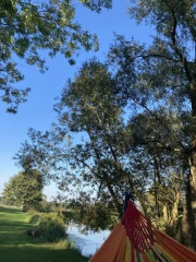 Repos dans le hamac sous les arbres dans le parc du gîte le Benouchon