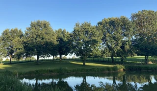 Grand parc reposant du gîte le Benouchon avec étang